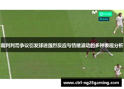 裁判判罚争议引发球迷强烈反应与情绪波动的多种表现分析