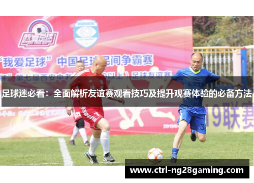 足球迷必看：全面解析友谊赛观看技巧及提升观赛体验的必备方法