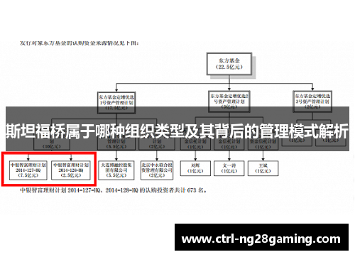 斯坦福桥属于哪种组织类型及其背后的管理模式解析